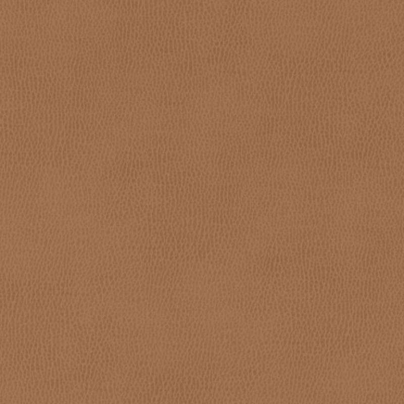 Silicone Mountain Terra