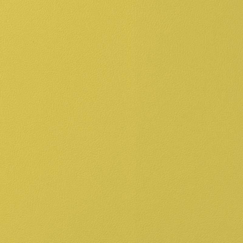 Silicone Prime Midday Ray