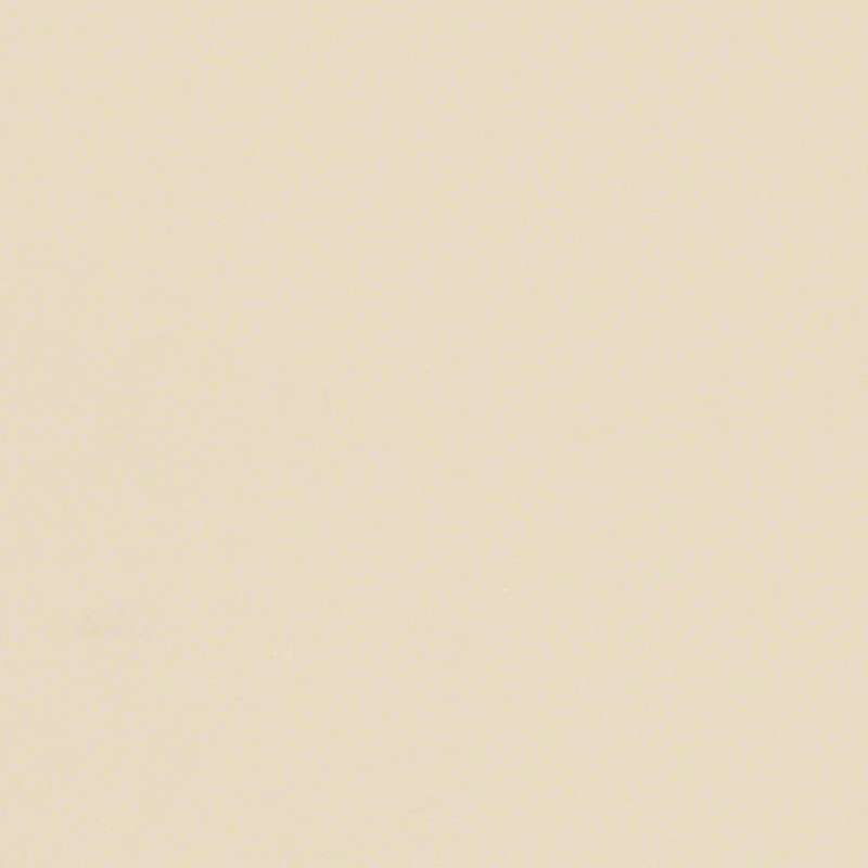 Sleek Vanilla Latte