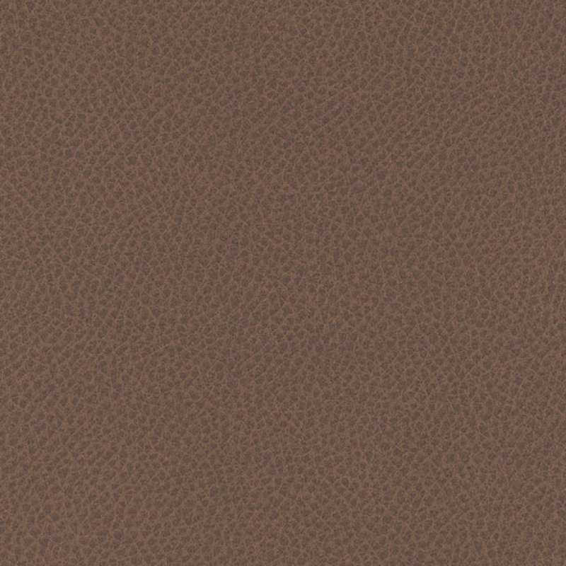 Stallion Chestnut