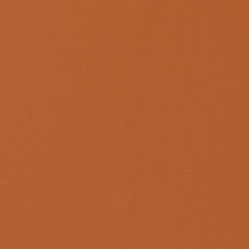 Staple Butterscotch