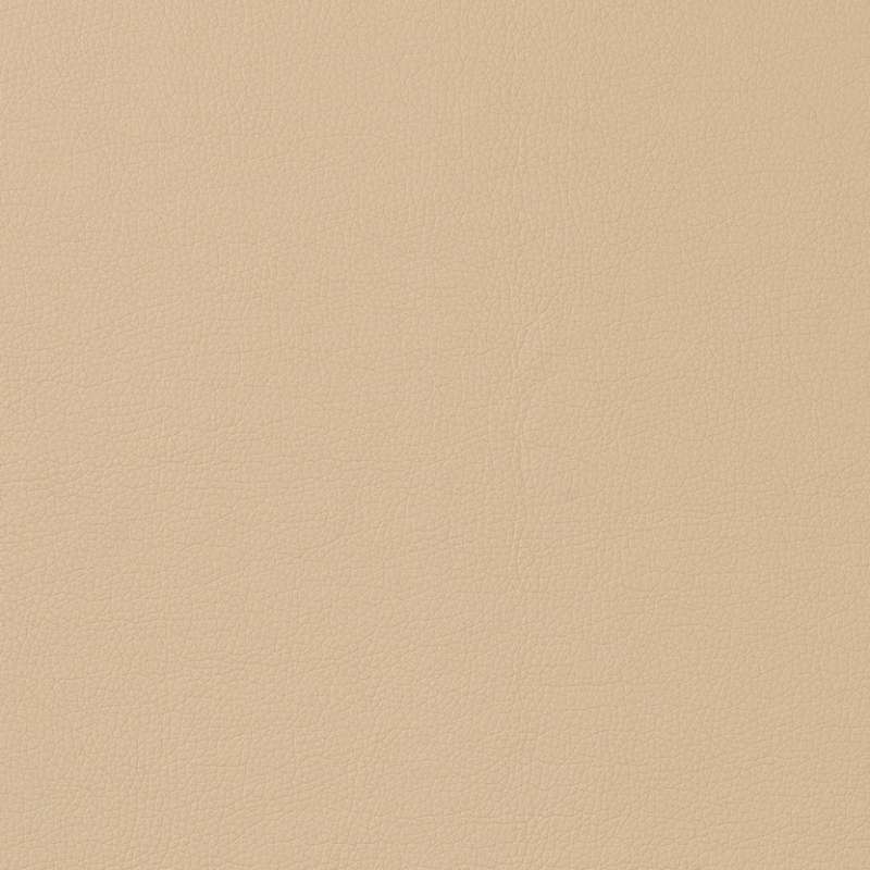 Staple Camel
