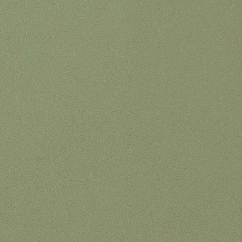 Staple Spruce