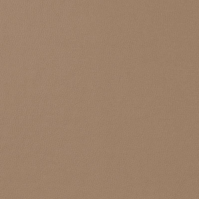 Staple Fawn