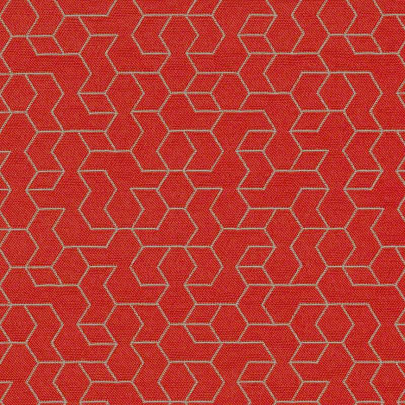 Tangram Tomato