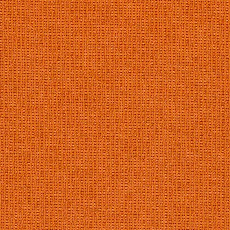 Tidbit Clementine