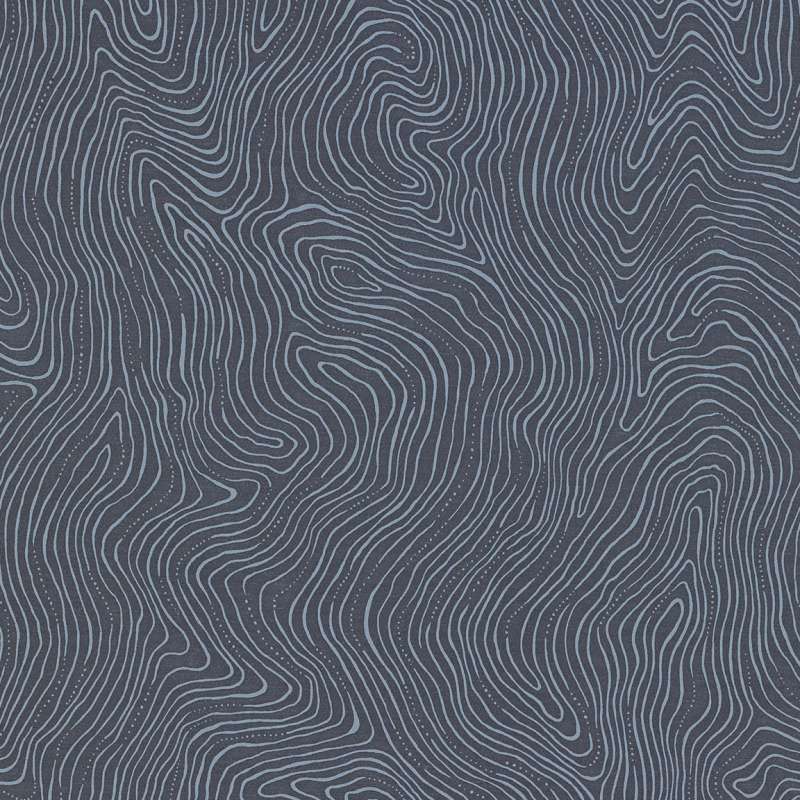 Topography Superior