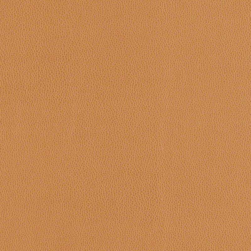 Volterra-hc Cashew