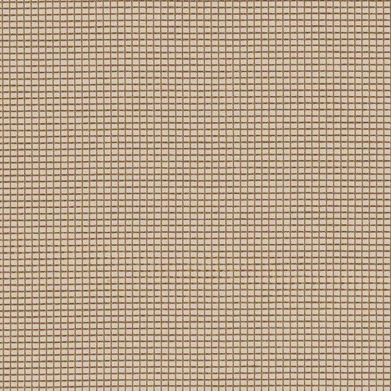 Zoom Forward