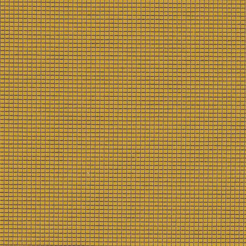 Zoom Buzz