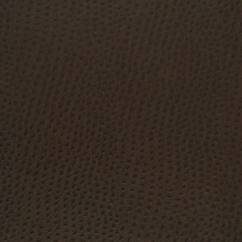 Outback Java