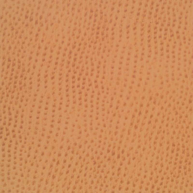 Outback Spice