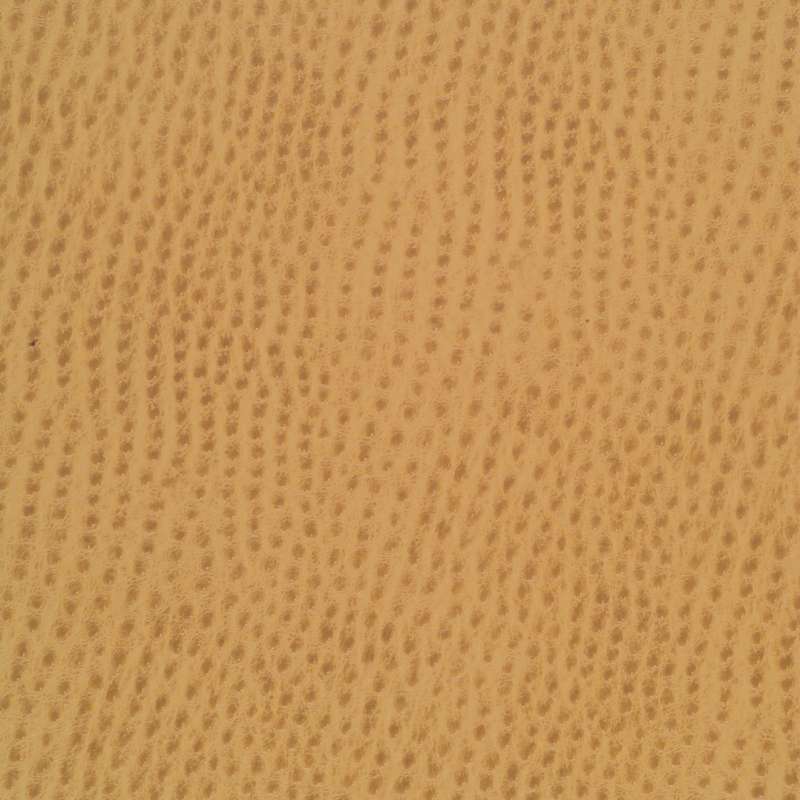 Outback Caramel