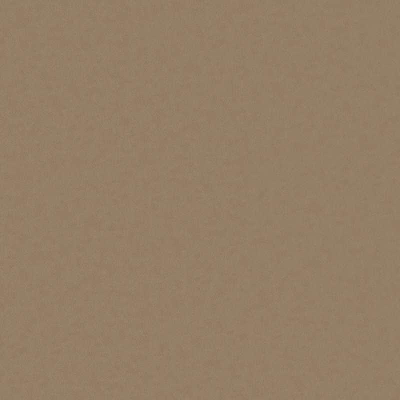 Solace Latte