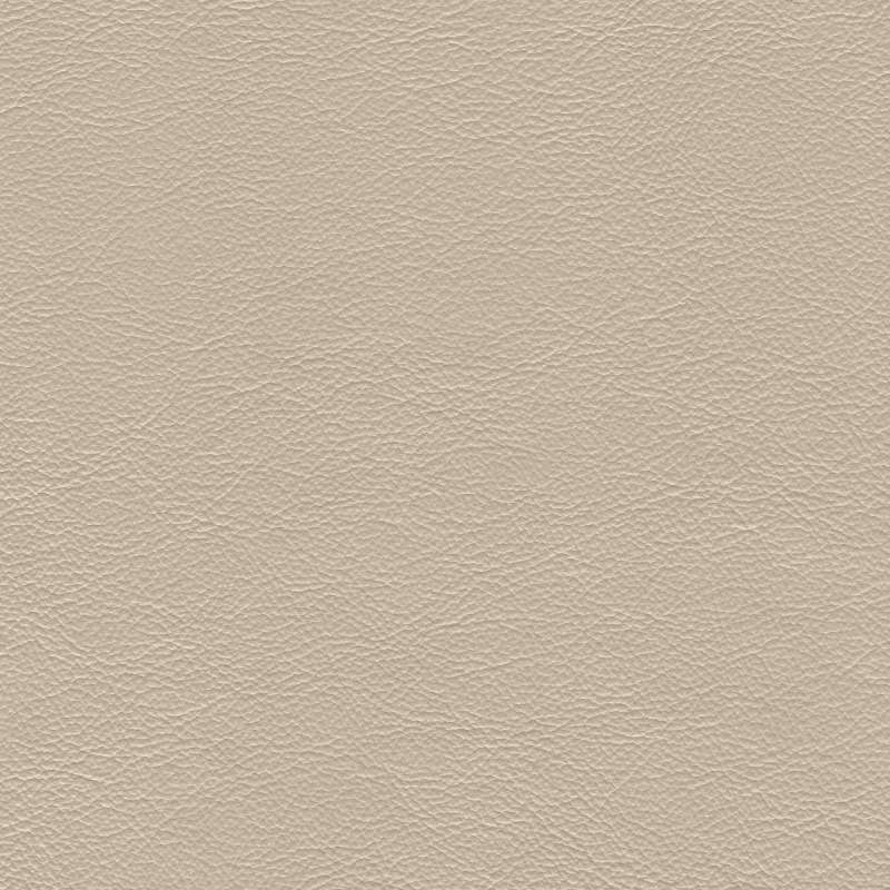 Safari Signature Ivory