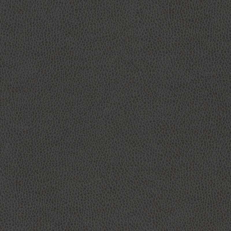 Palermo II Carbon