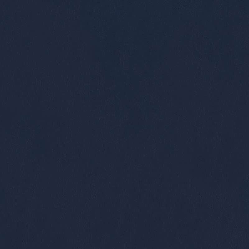 Prospect Navy