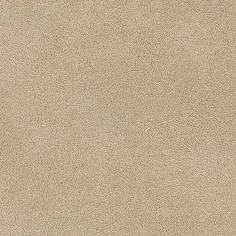 Palomino 1