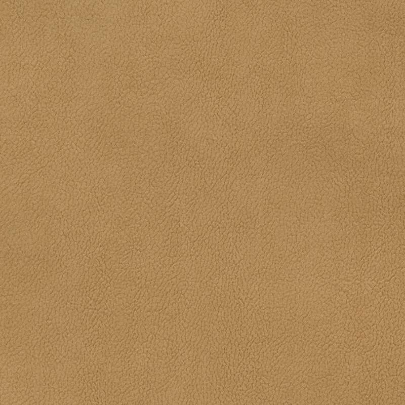 Palomino 4