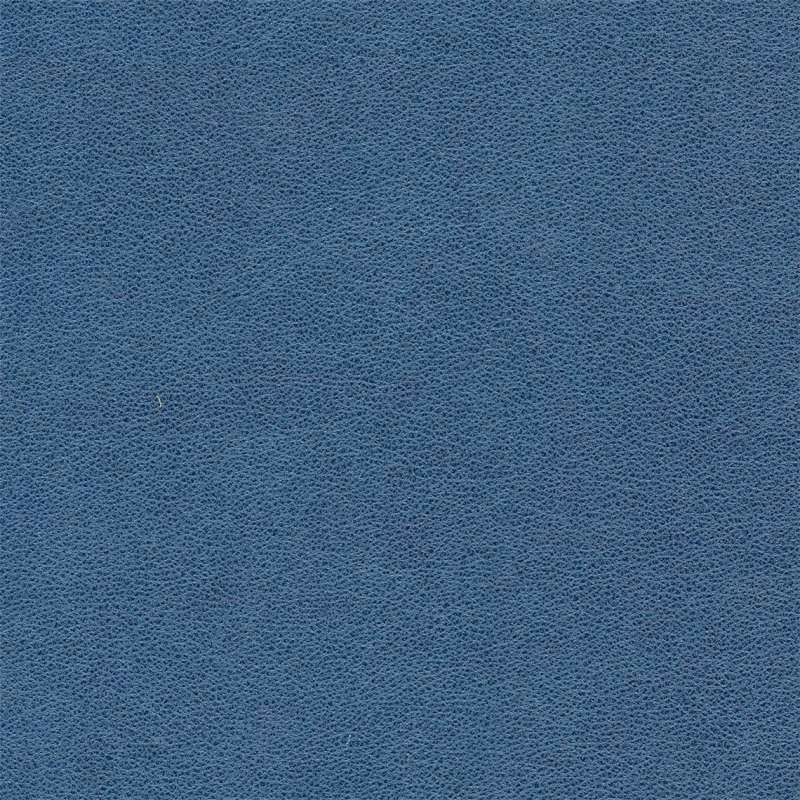 Patent Cadet Blue