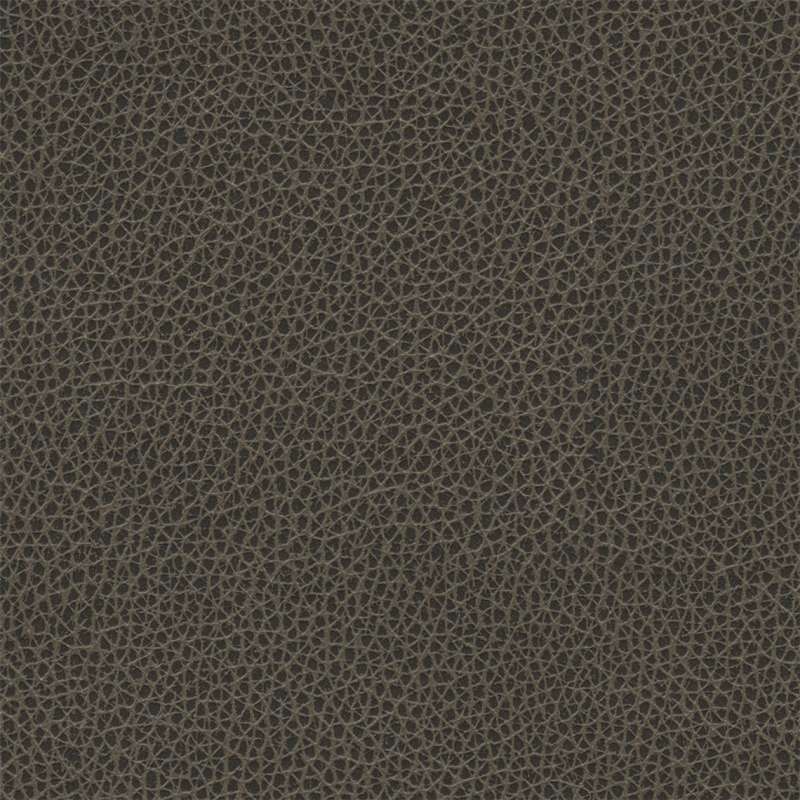 Percheron Ash