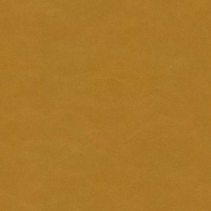 Polished #2 Mustard