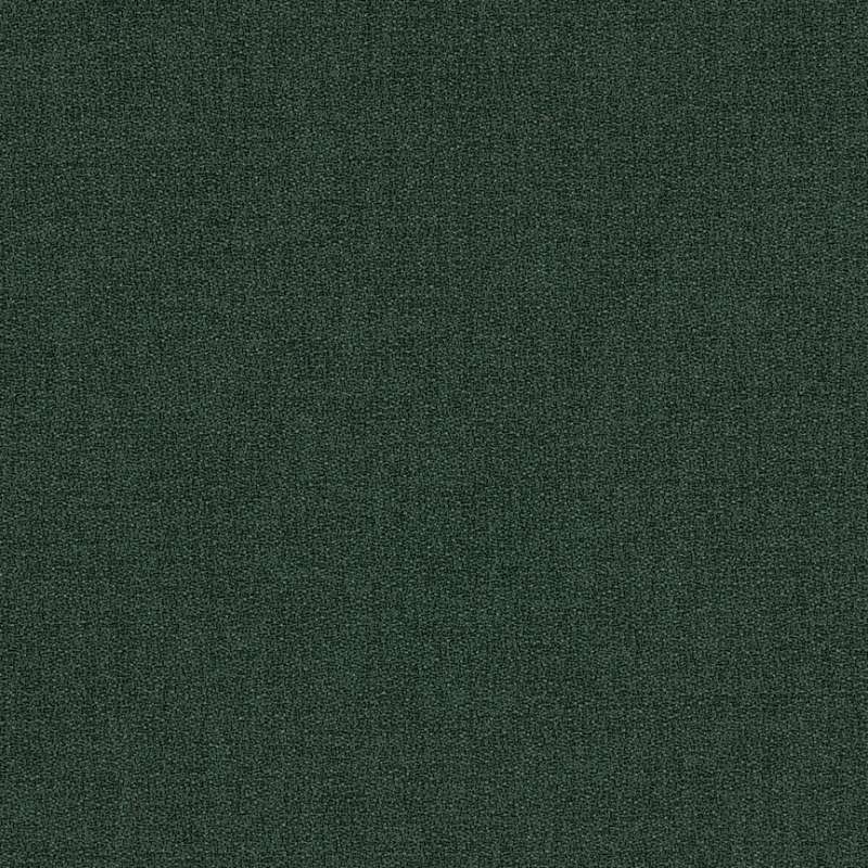 Manner Poplar