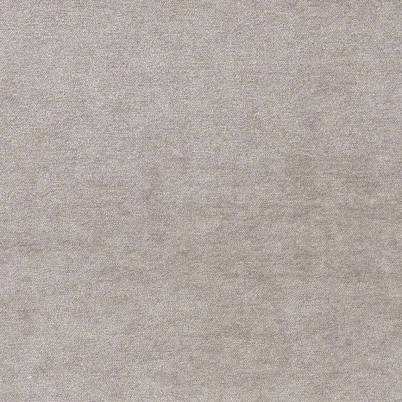 Premier Dove