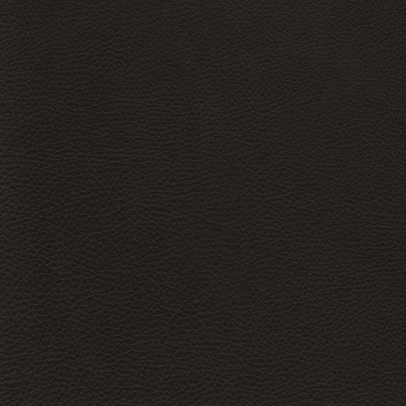 Prince Leather Castellan