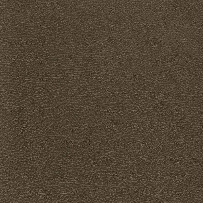 Prince Leather Fox