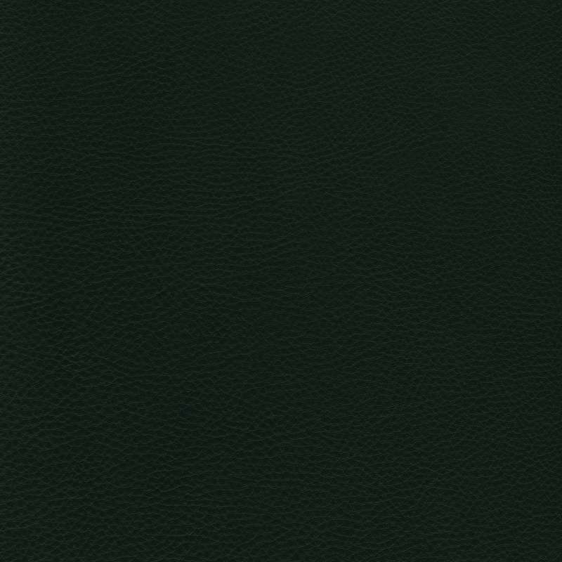 Prince Leather Shire