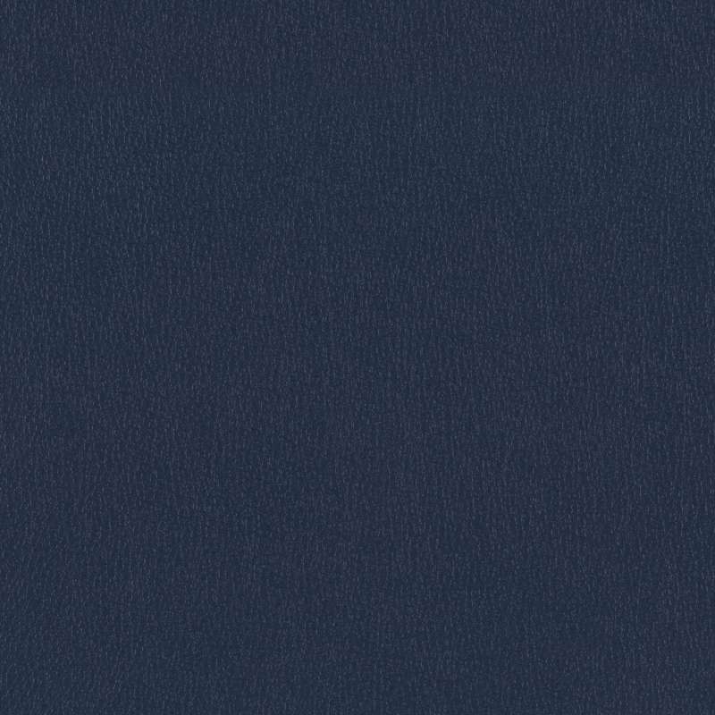 Ryder Navy