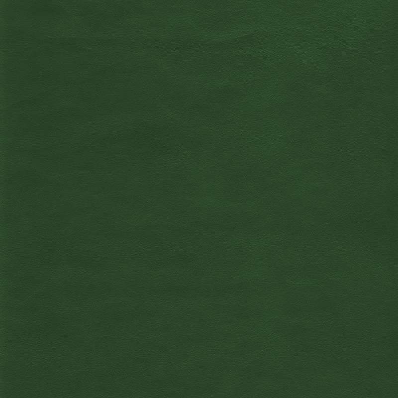 Ranch Leather Cactus