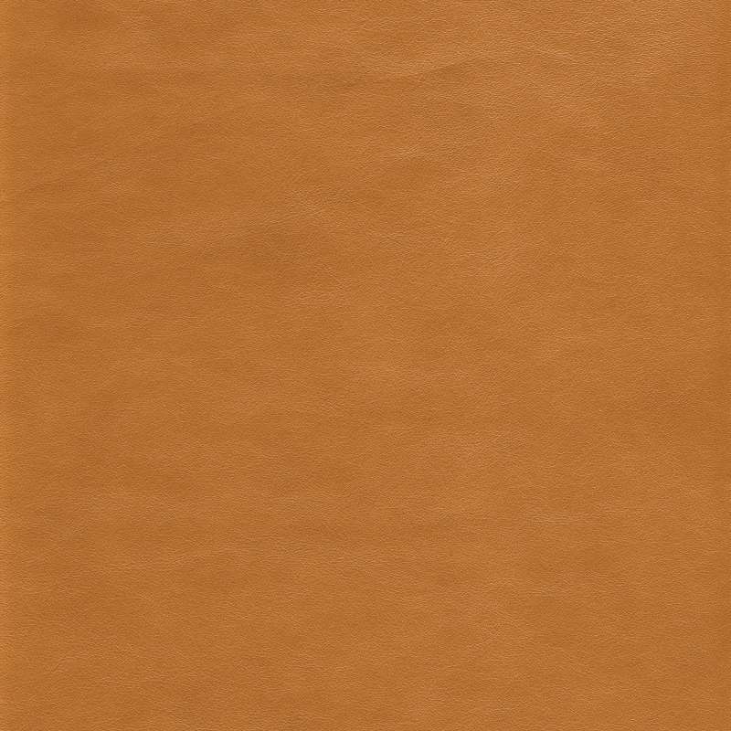 Ranch Leather Rough Rider