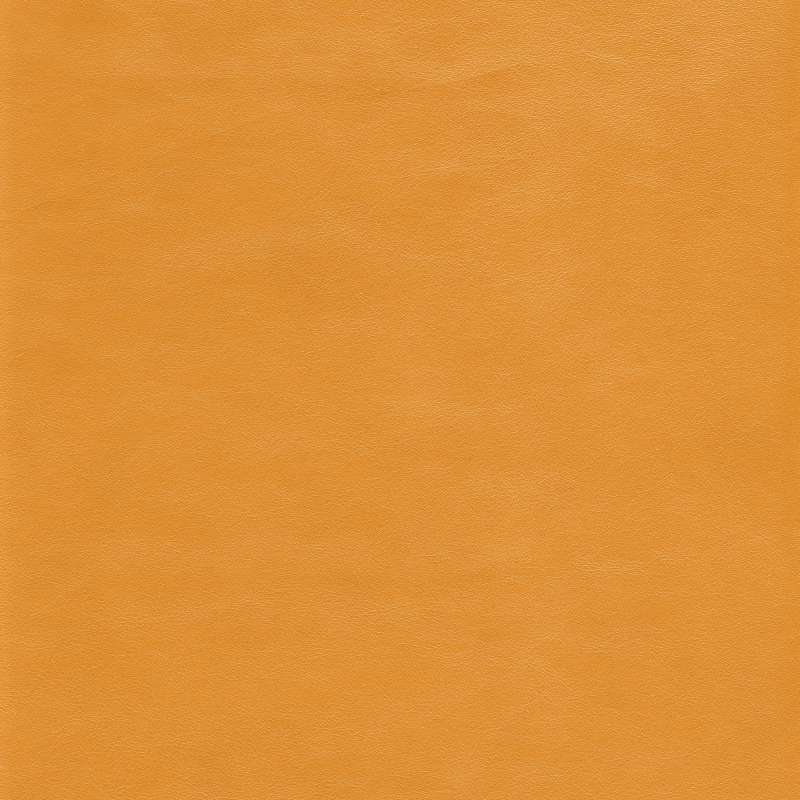 Ranch Leather Buckskin