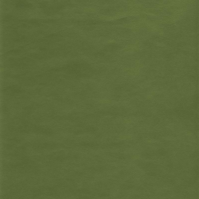 Ranch Leather Chile