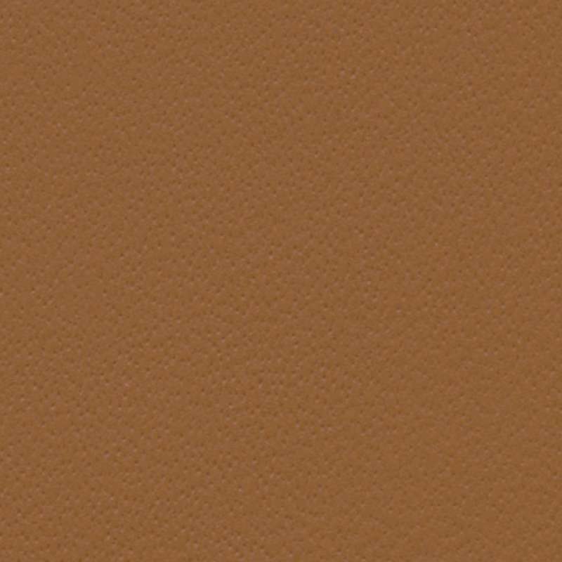Warm Beige