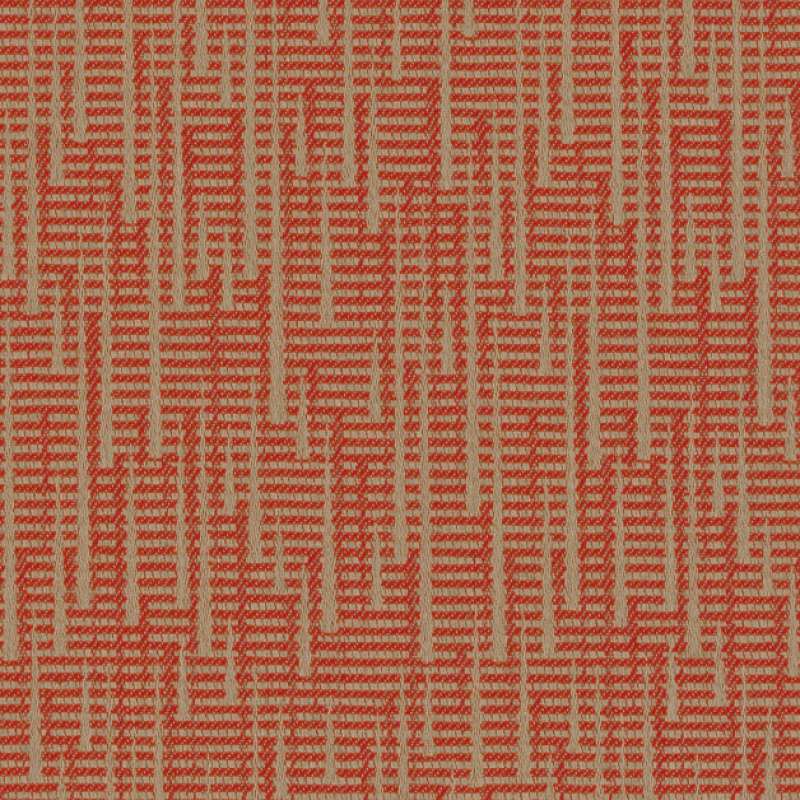 Rumba Cinnabar