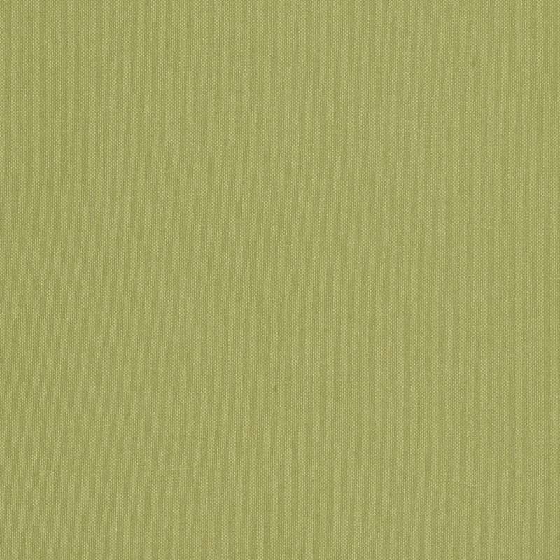Silverweave Willow