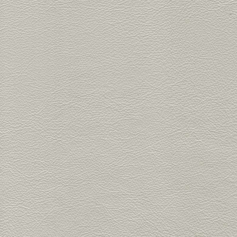 Safari Signature Frost