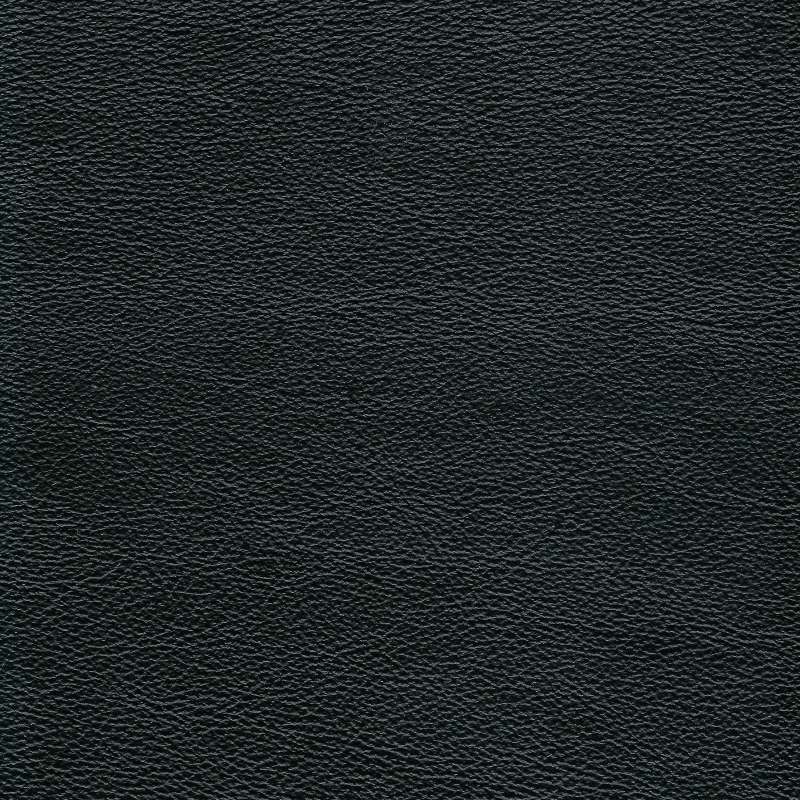 Safari Signature Nero