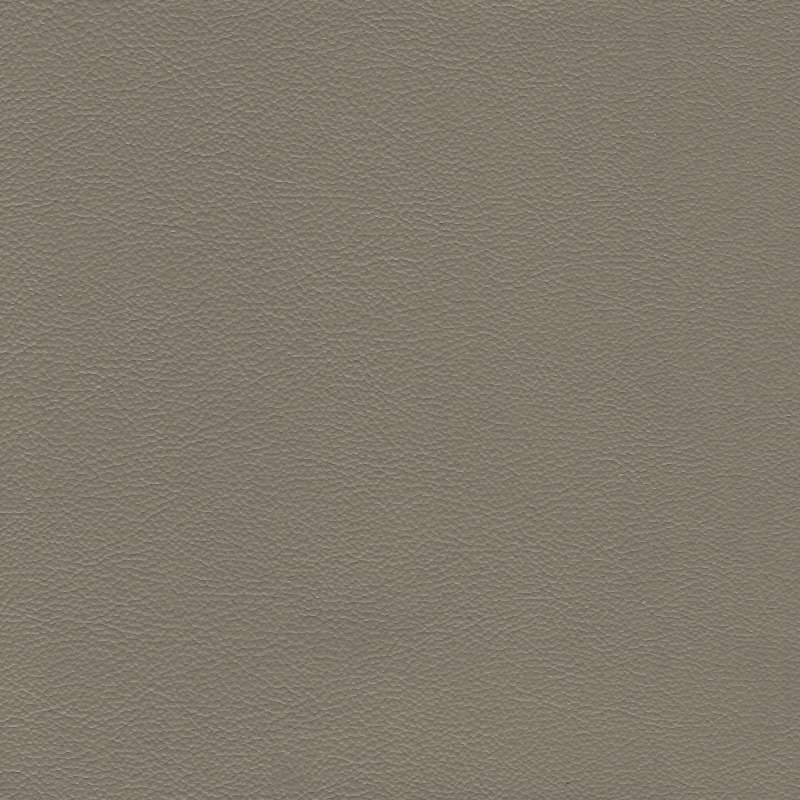 Safari Signature Shale