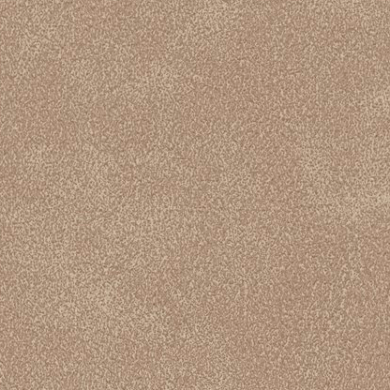 Sandwashed Calpurina