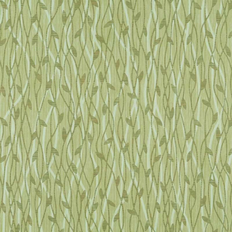 Sea Willow Avocado