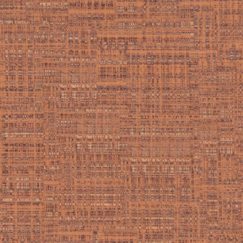 Shift Apricot