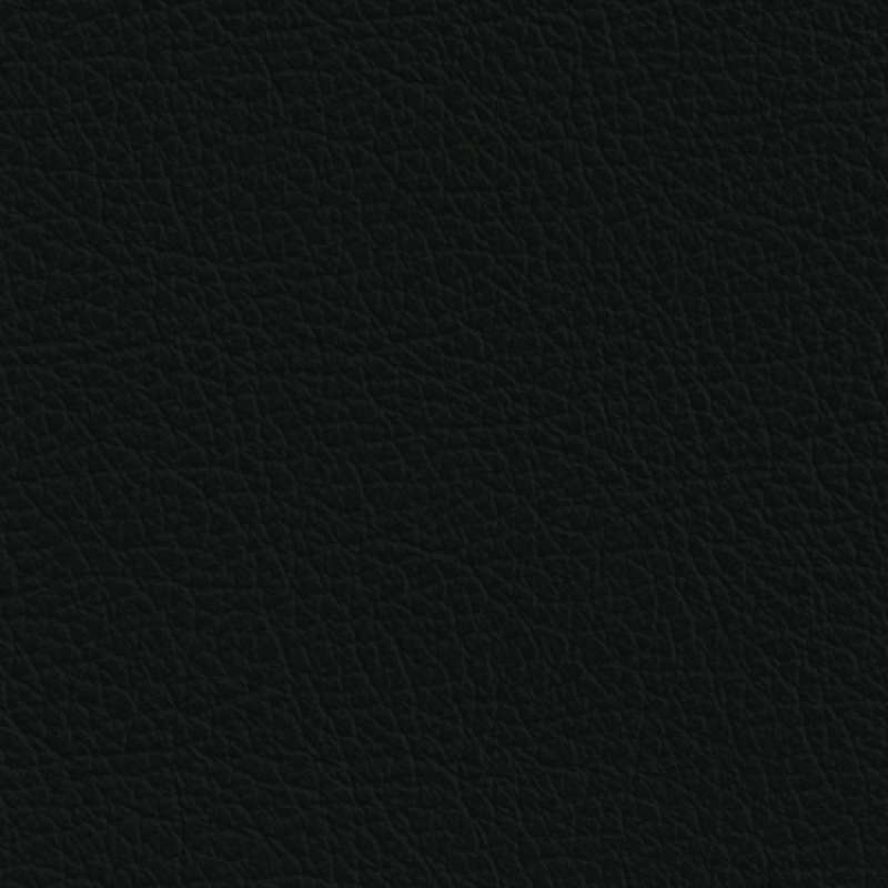 Sierra Leather Black