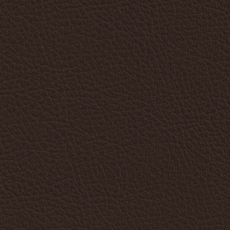 Sierra Leather Cafe