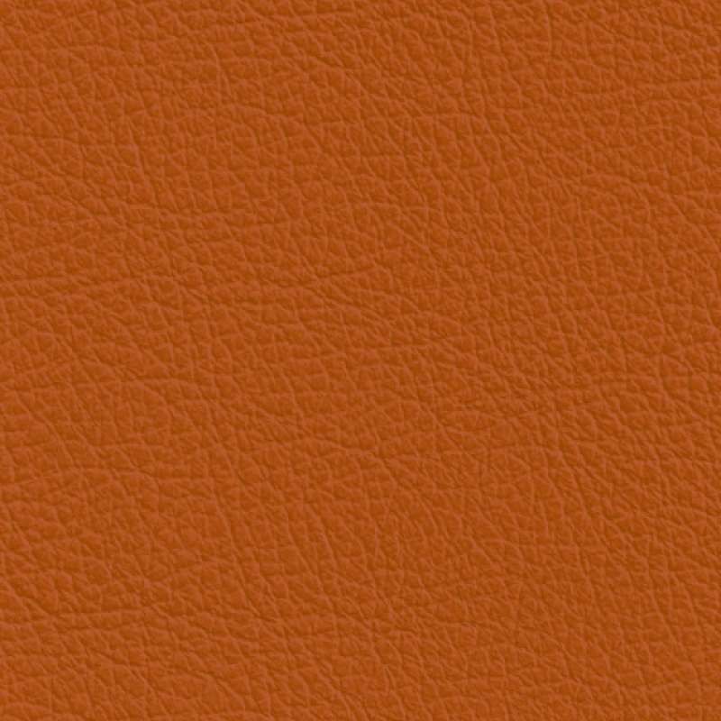 Sierra Leather Harvest
