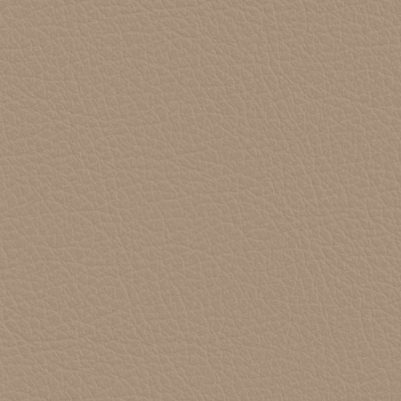 Sierra Leather Mushroom