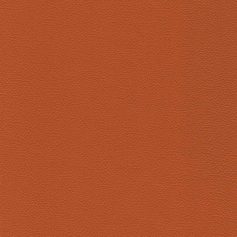 Sierra Leather Cannella